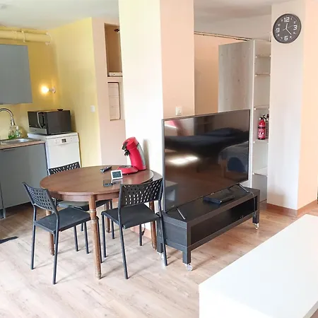 Appartement Loft Edf Cea Dtg Ufpi Schneider Saint-Martin-le-Vinoux